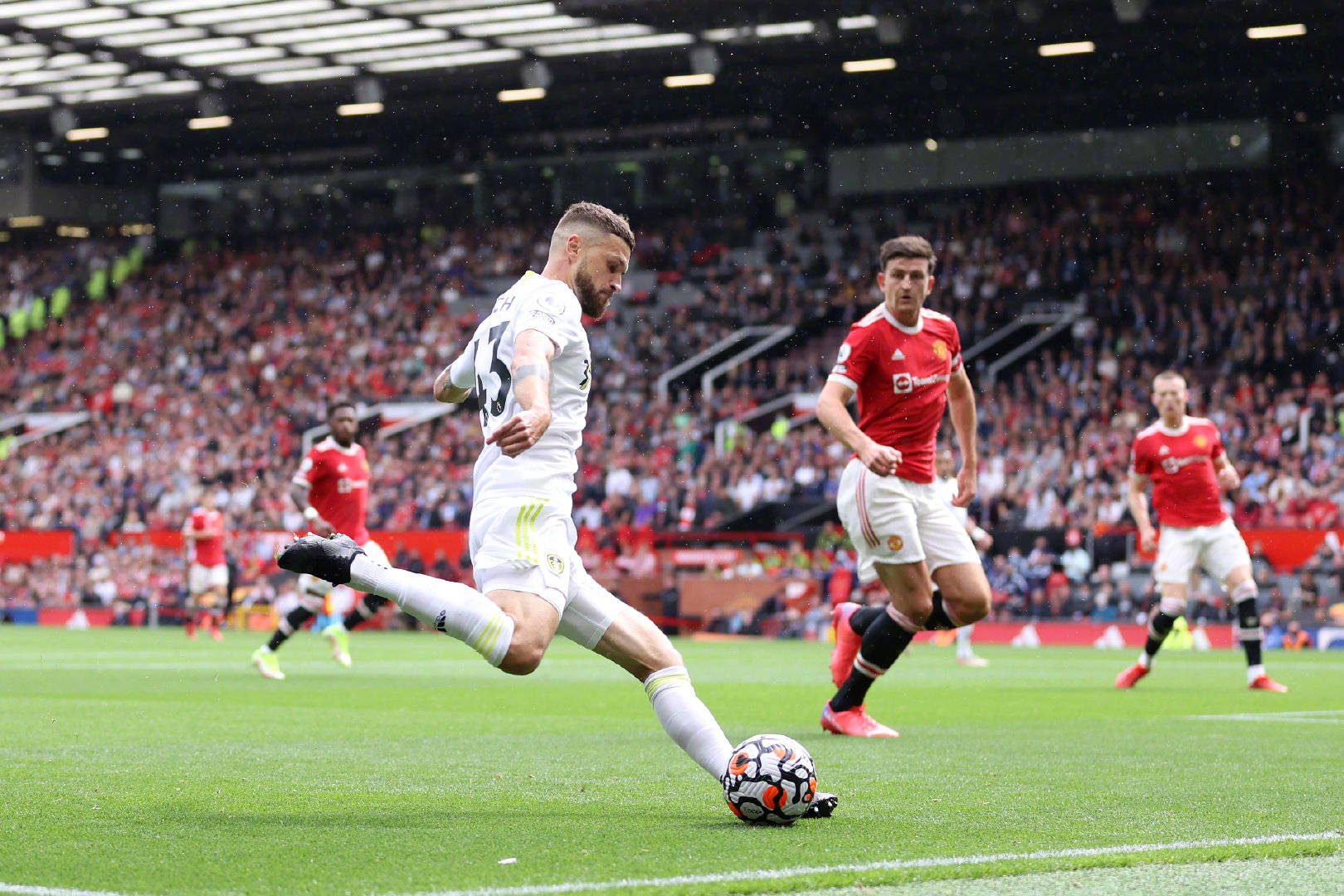 正是他的精 正是他的精